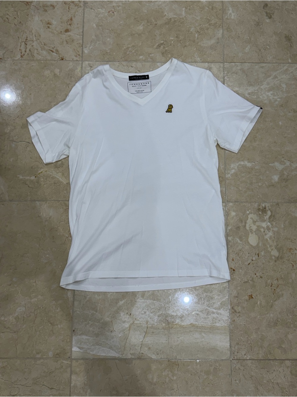 James Bark Men's White V‑Neck Tee with Small Gold Logo